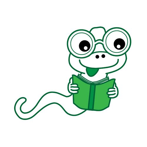 Zgaga